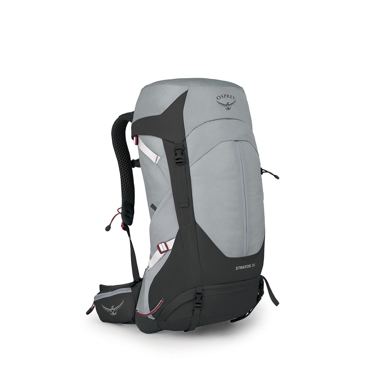 Osprey Men&#39;s Stratos 36 Backpack